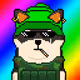 Dr Shib