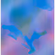 548