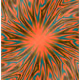 512
