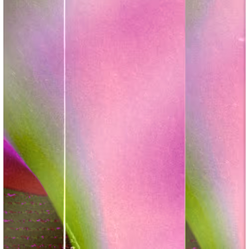 70