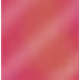 1117