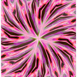 689
