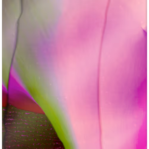 Refract Pass