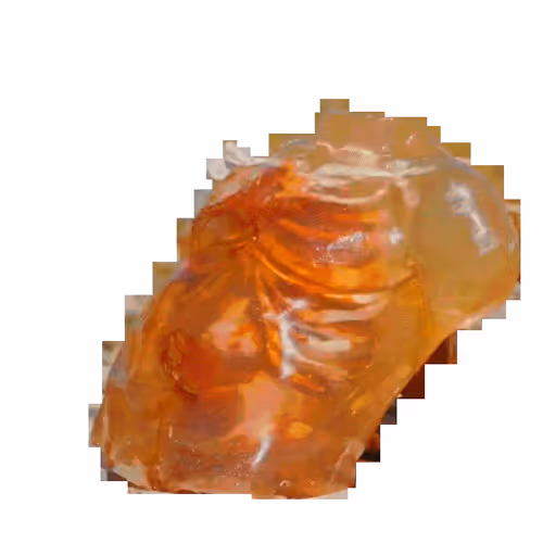 Unbridled Christie by Lorna Mills