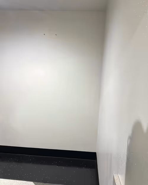 Item #68133196527112232794835997367314869505960984666033462681082934679485450444097 Media