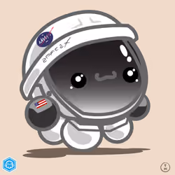 Spaceboi X