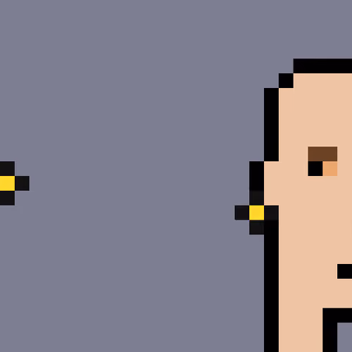 Gold Ear Stud