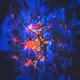 267