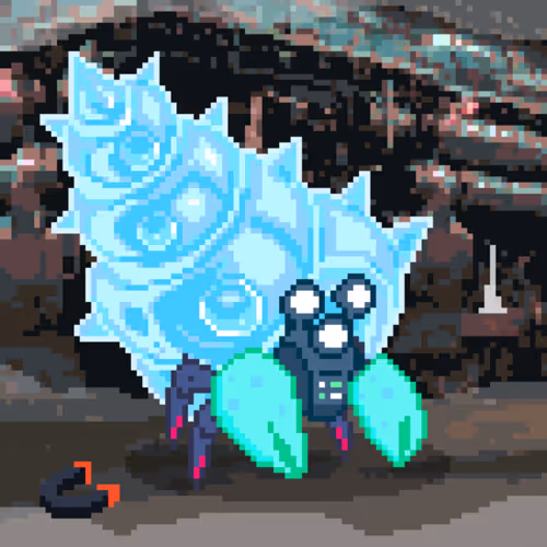 Anomura