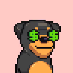 Alpha Dog Run #3422