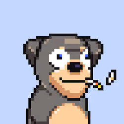 Alpha Dog Run #568