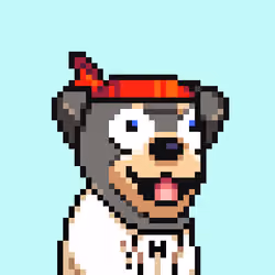 Alpha Dog Run #728