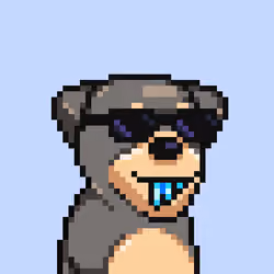 Alpha Dog Run #391