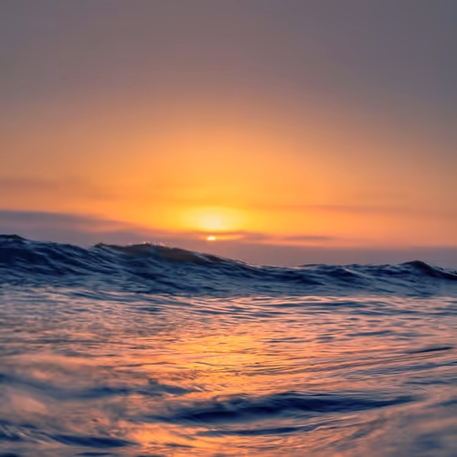 Ocean Reverie