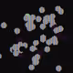 1008