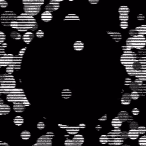 Item #507 Media