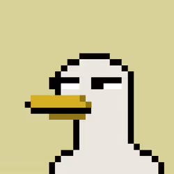 We All Love Ducks #177