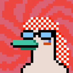 We All Love Ducks #404