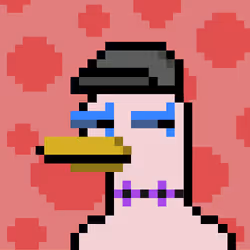 We All Love Ducks #178