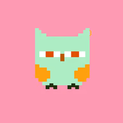 HooTz #2167