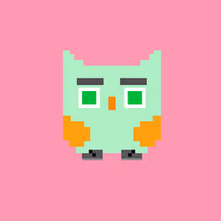 HooTz #2166