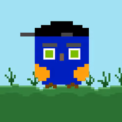 HooTz #2580
