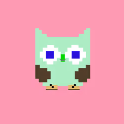 HooTz #2467