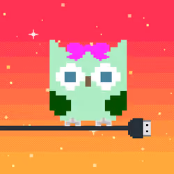 HooTz #2264