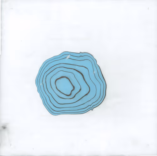 Item #44 Media