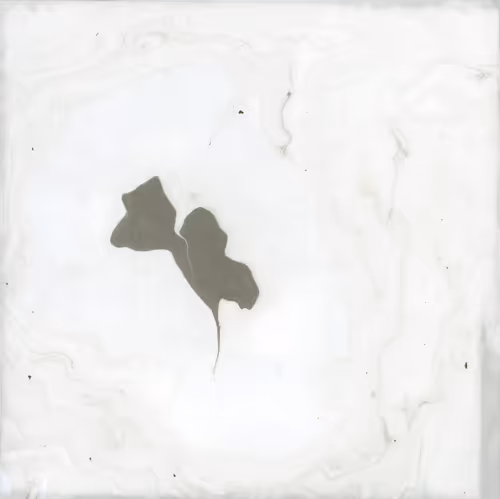 Item #11 Media