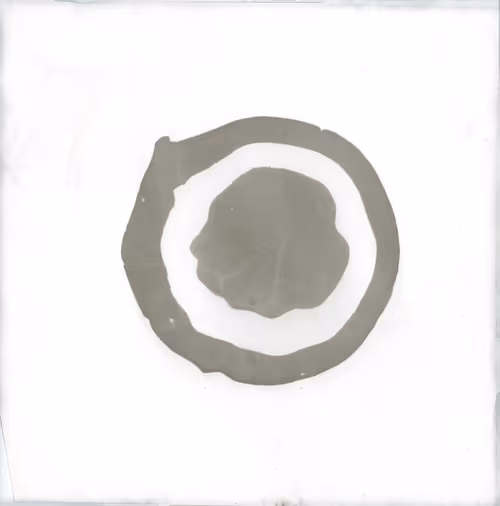 Item #4 Media