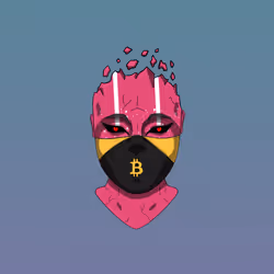 Metaminds 898