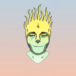 Metaminds 862