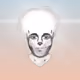 816