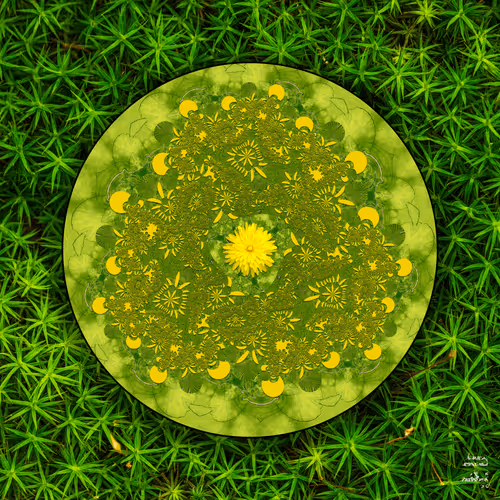 Extracts from The Mystical Microzoology of Mathematics Companion Works