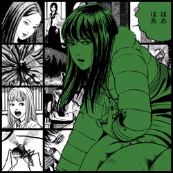 TOMIE by Junji Ito #1980