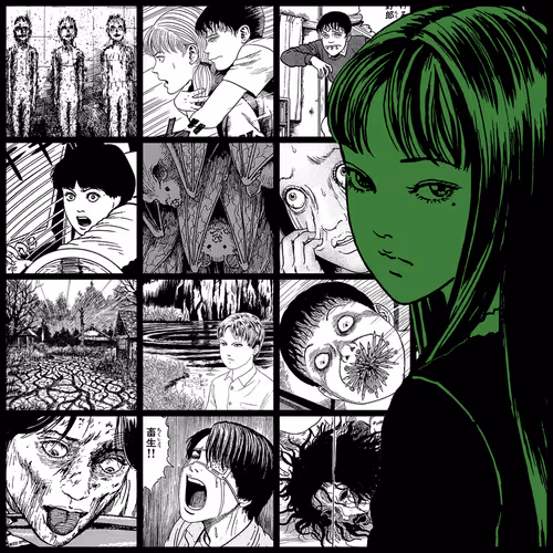TOMIE by Junji Ito #725