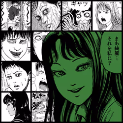TOMIE by Junji Ito #1838