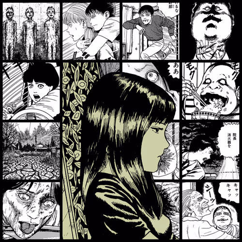 TOMIE by Junji Ito #1132
