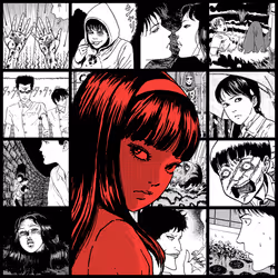 TOMIE by Junji Ito #1250