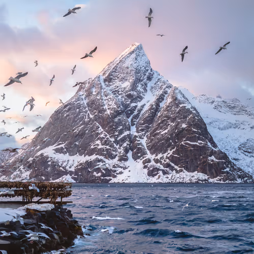 Arctic Winds