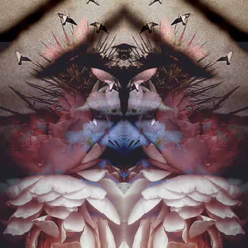 The Refracted Aviary