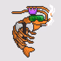 Pleasure Craft