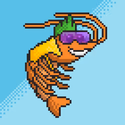 Sea Gazer