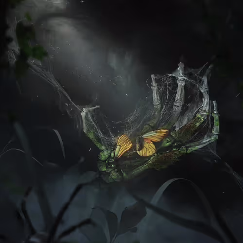 The Life Of A Butterfly By Boss Logic