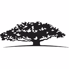 Wisdom Tree 1