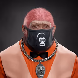 Supreme Kong #1638
