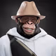 1643