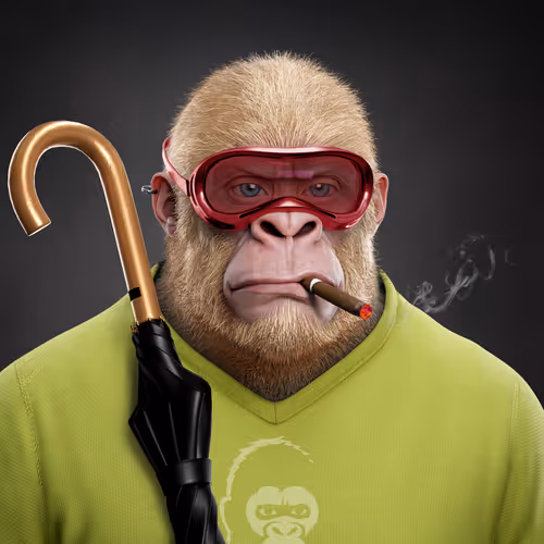 Supreme Kong #27