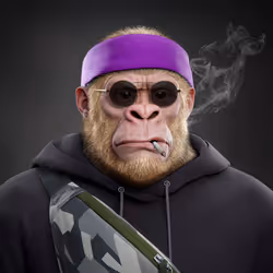 Supreme Kong #773